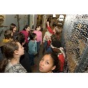Sammelsurium der Tiere: Kinderführung