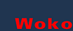 Woko–Studentische Wohngenossenschaft Zrich
