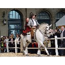 Vetsuisse-Fakultt im Hauptbahnhof: Barockpferde