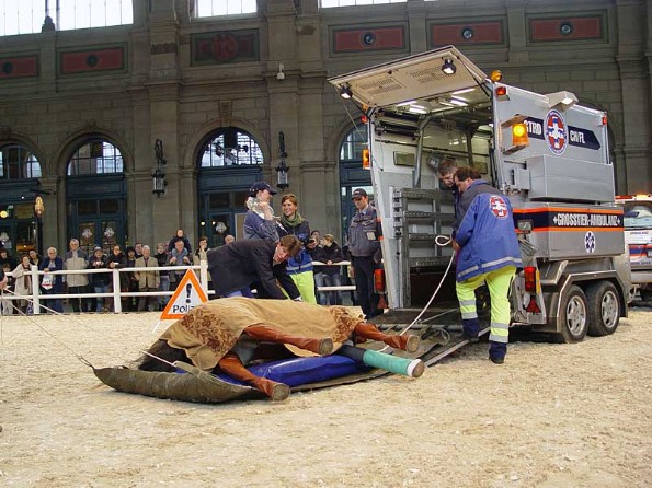 Vetsuisse-Fakultt im Hauptbahnhof: Grosstierrettung